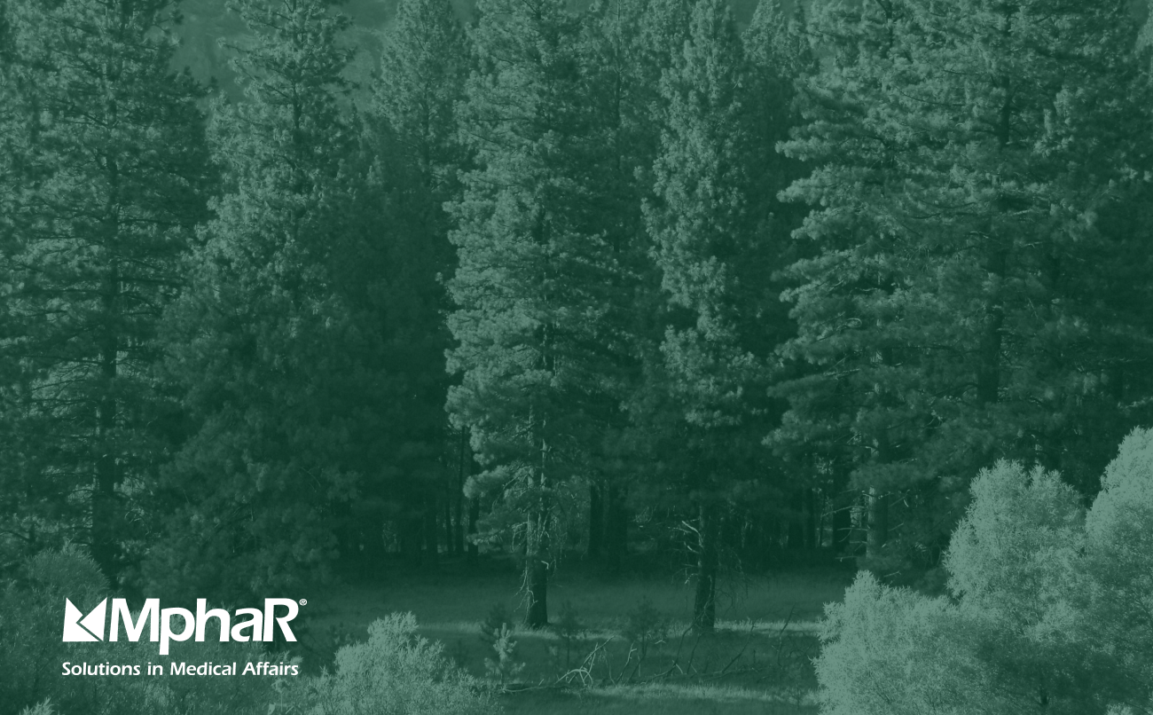 Fostering Global Collaboration in Healthcare for Sustainable Solutions